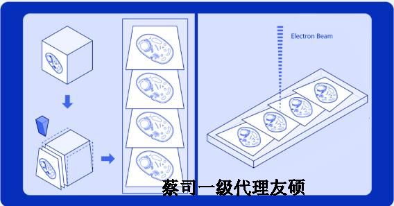 长宁蔡司长宁扫描电镜