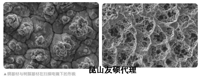 长宁蔡司长宁扫描电镜